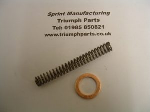 Cam chain tensioner spring