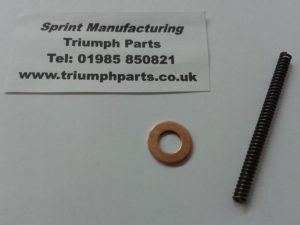 Cam Chain Tensioner Spring 675 Daytona and Street Triple (Silver Coloured Tensioner)