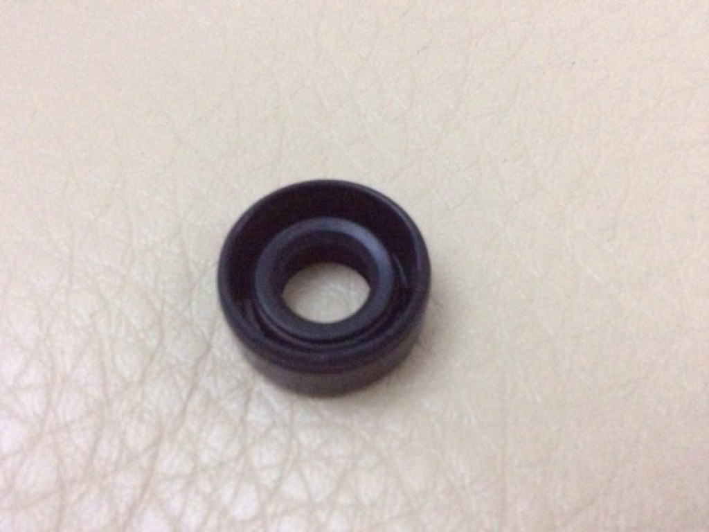 Clutch Pushrod Oil Seal - Image 2