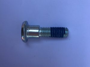 Disc Bolt Plated Speed Triple 900, Daytona 1200, Daytona 955, Sprint ST